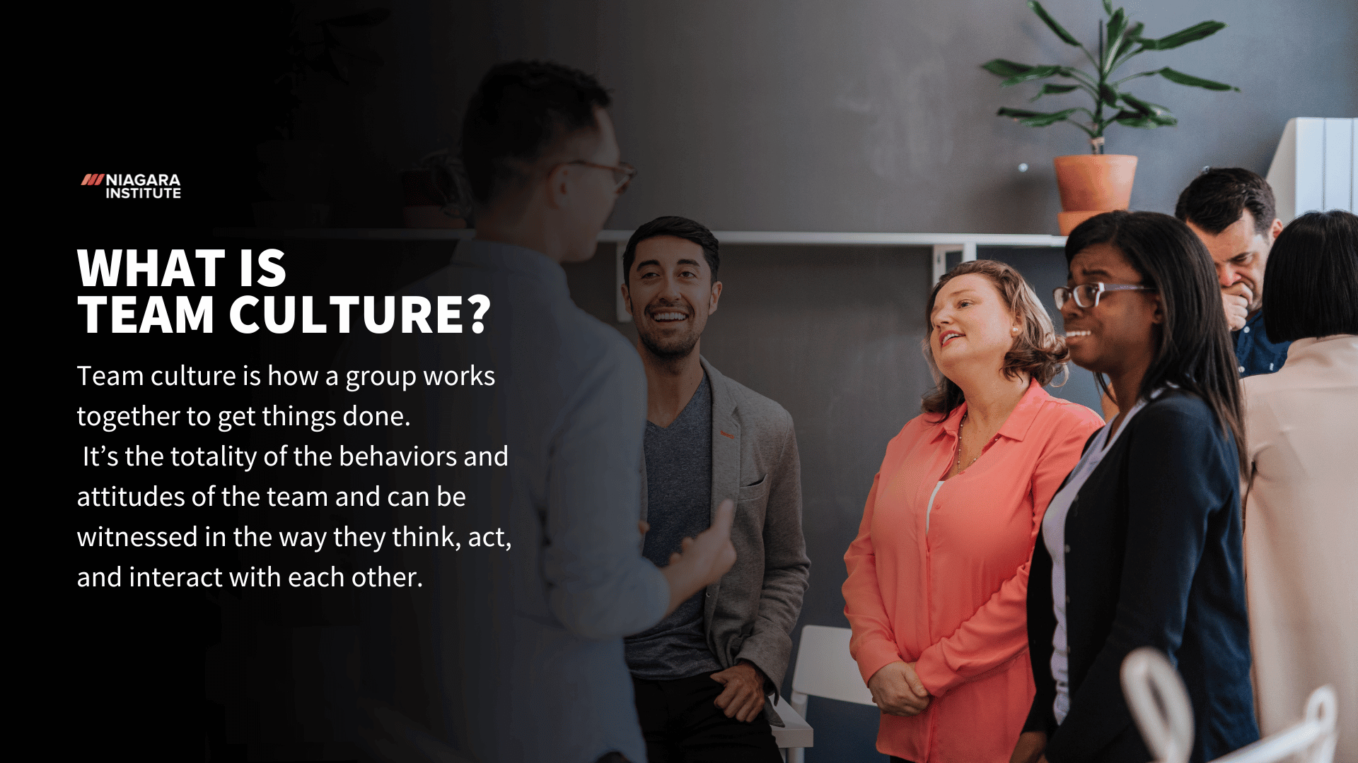 Definition Team Culture - Niagara Institute 