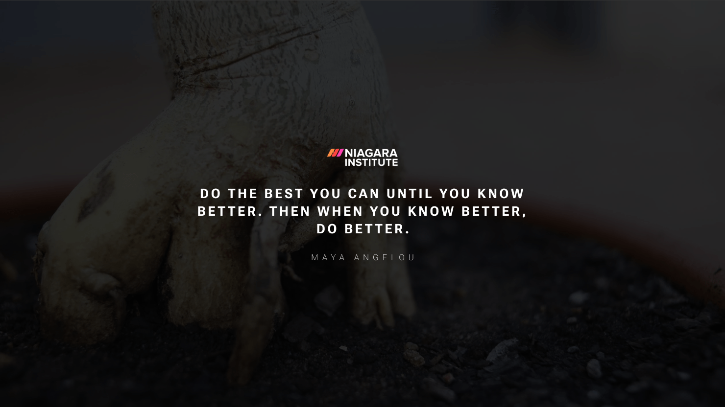 Do the best you can until you know better. Then when you know better, do better