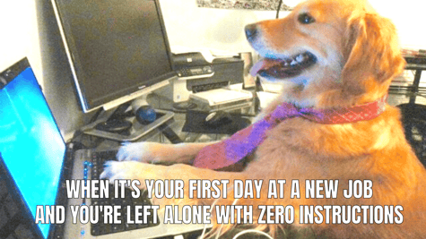 Left Alone on First Day of Work Meme