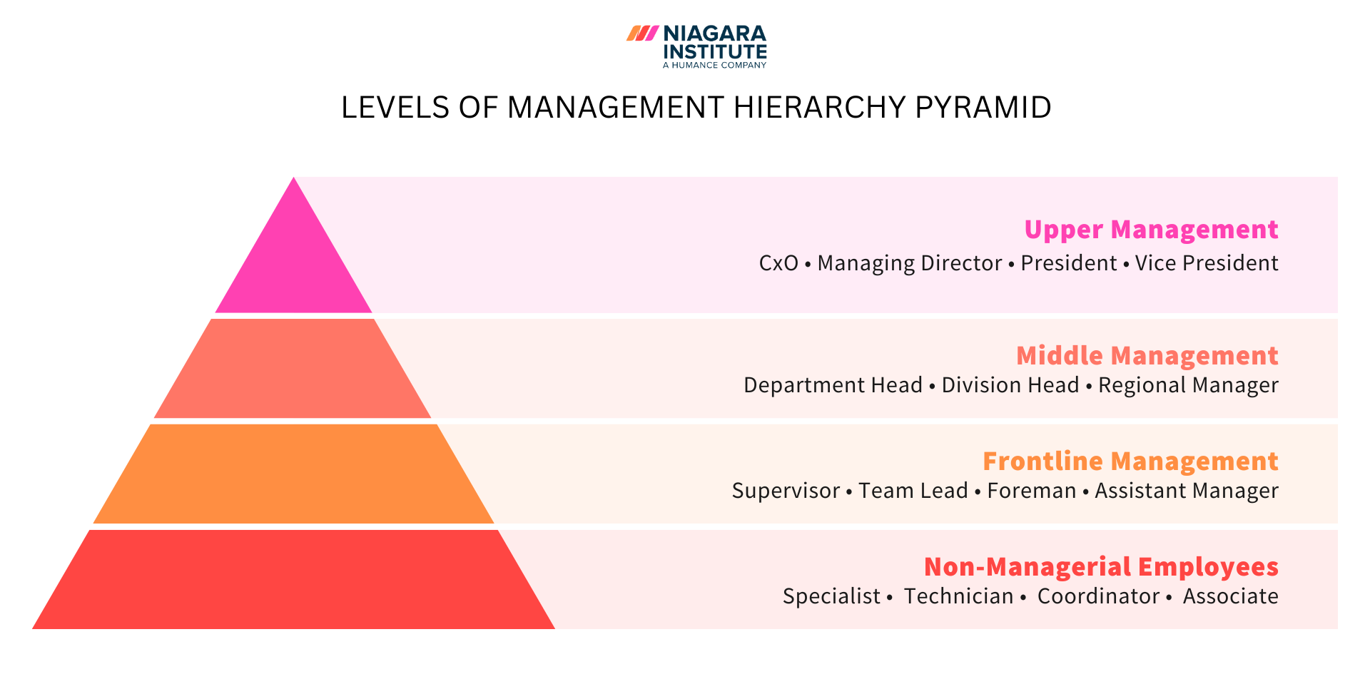 Levels of management hierarchy pyramid