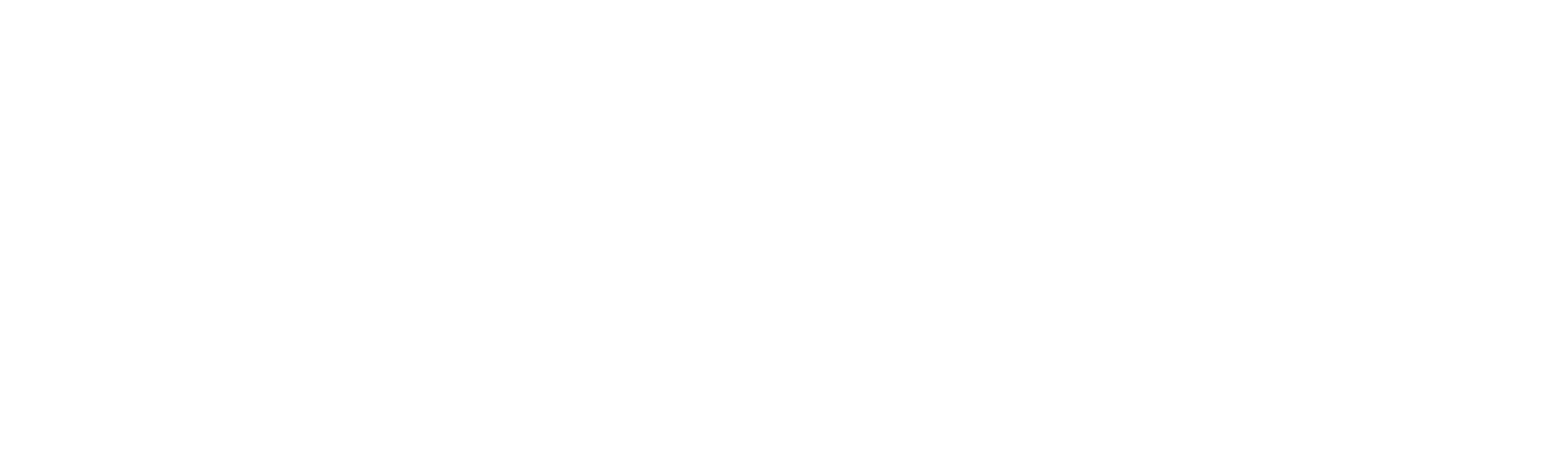 Niagara Institute