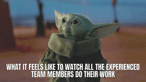 New hires first day of work meme