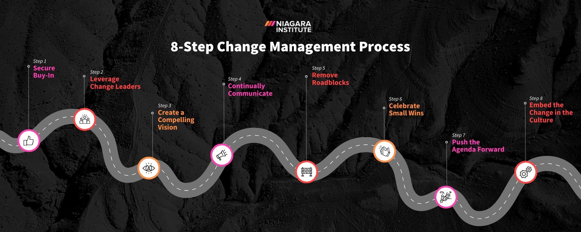 Niagara Institute - 8-Step Change Management Process