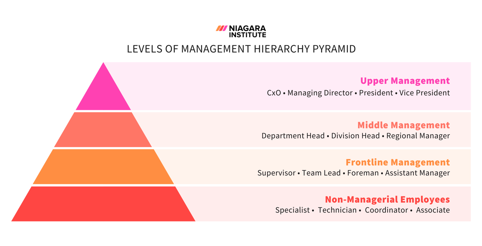 The Ultimate Guide to Middle Management