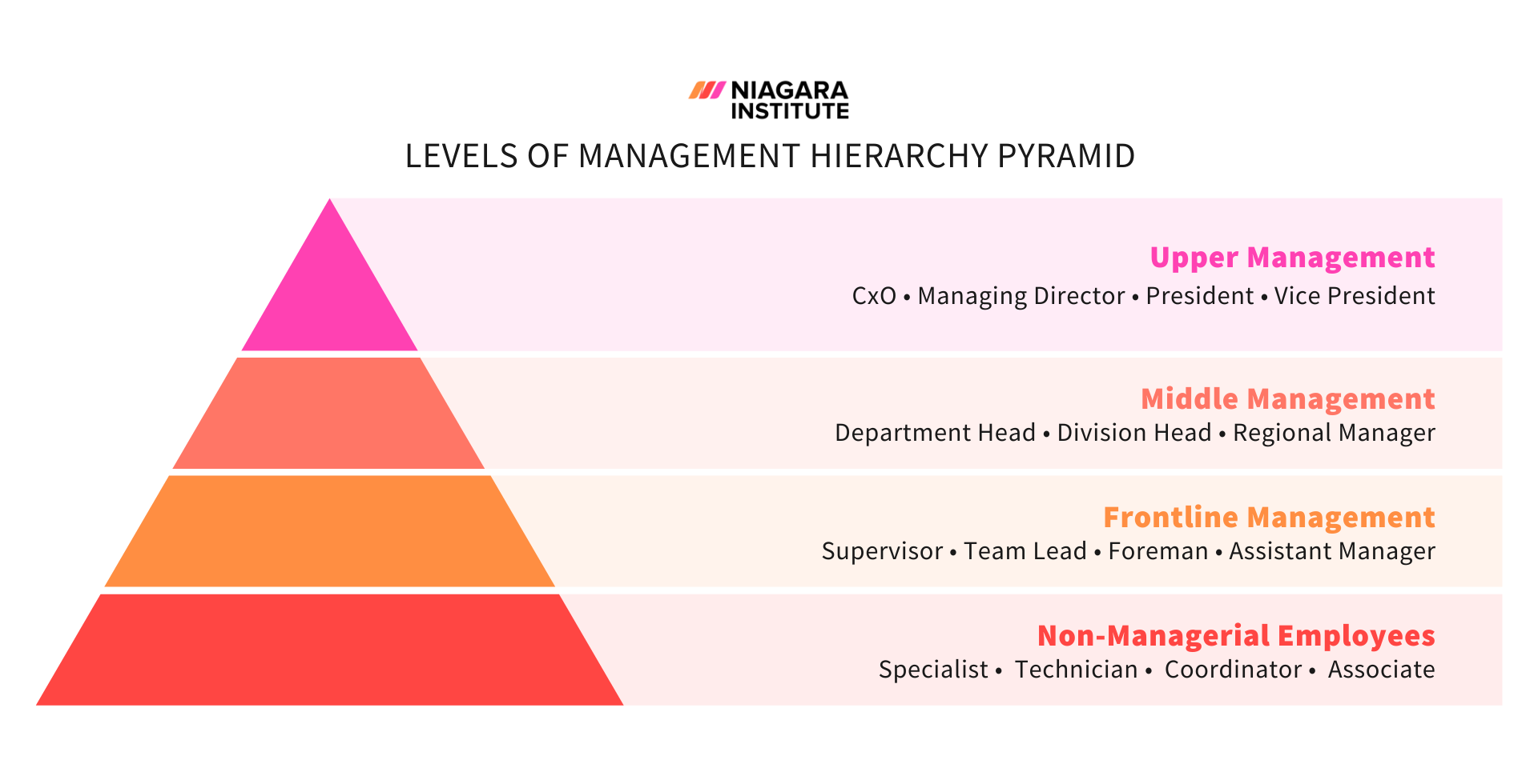 Middle Management Chart The Ultimate Guide to Middle Management