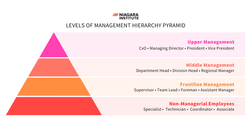 Niagara Institute - Levels of Management Hierarchy Pyramid