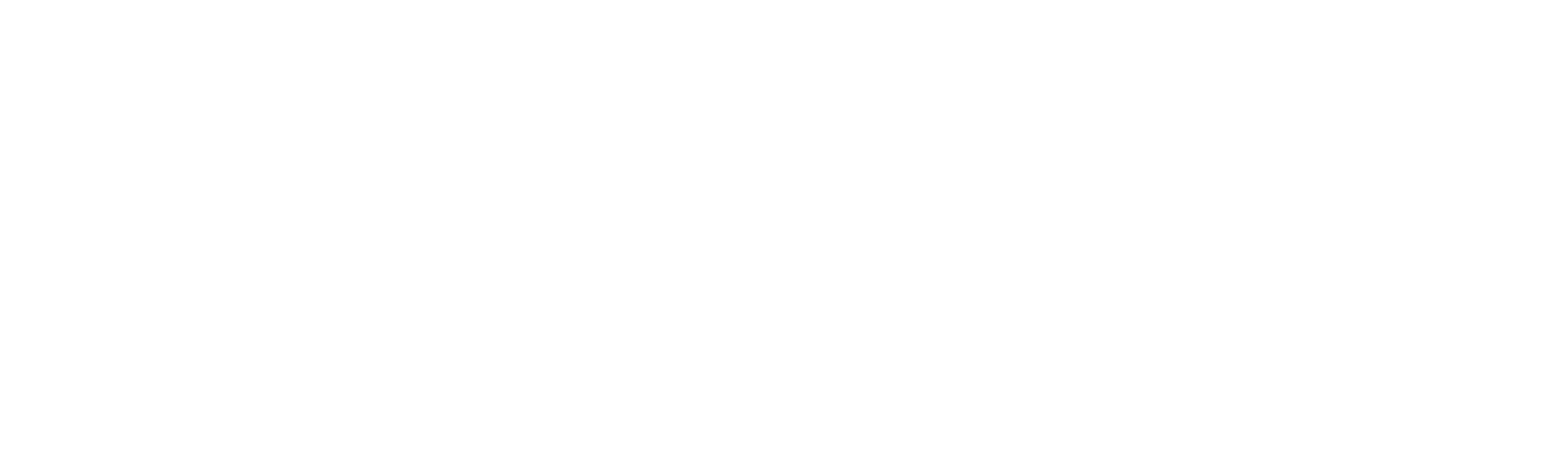 Niagara Institute 
