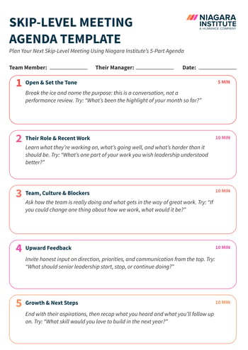SKIP-LEVEL MEETING AGENDA TEMPLATE