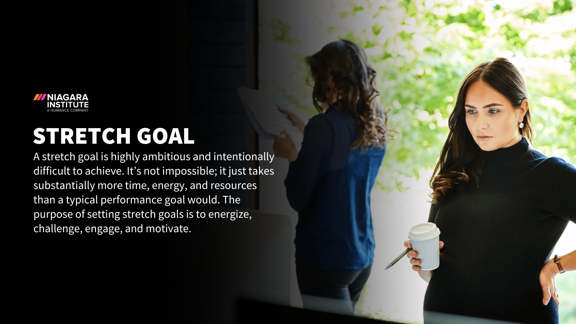 Stretch Goal Definition - Niagara Institute-1