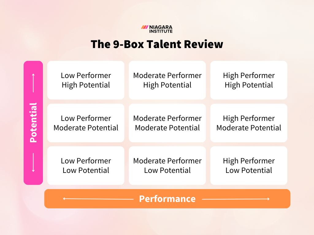 The 9-Box Talent Review - Niagara Institute