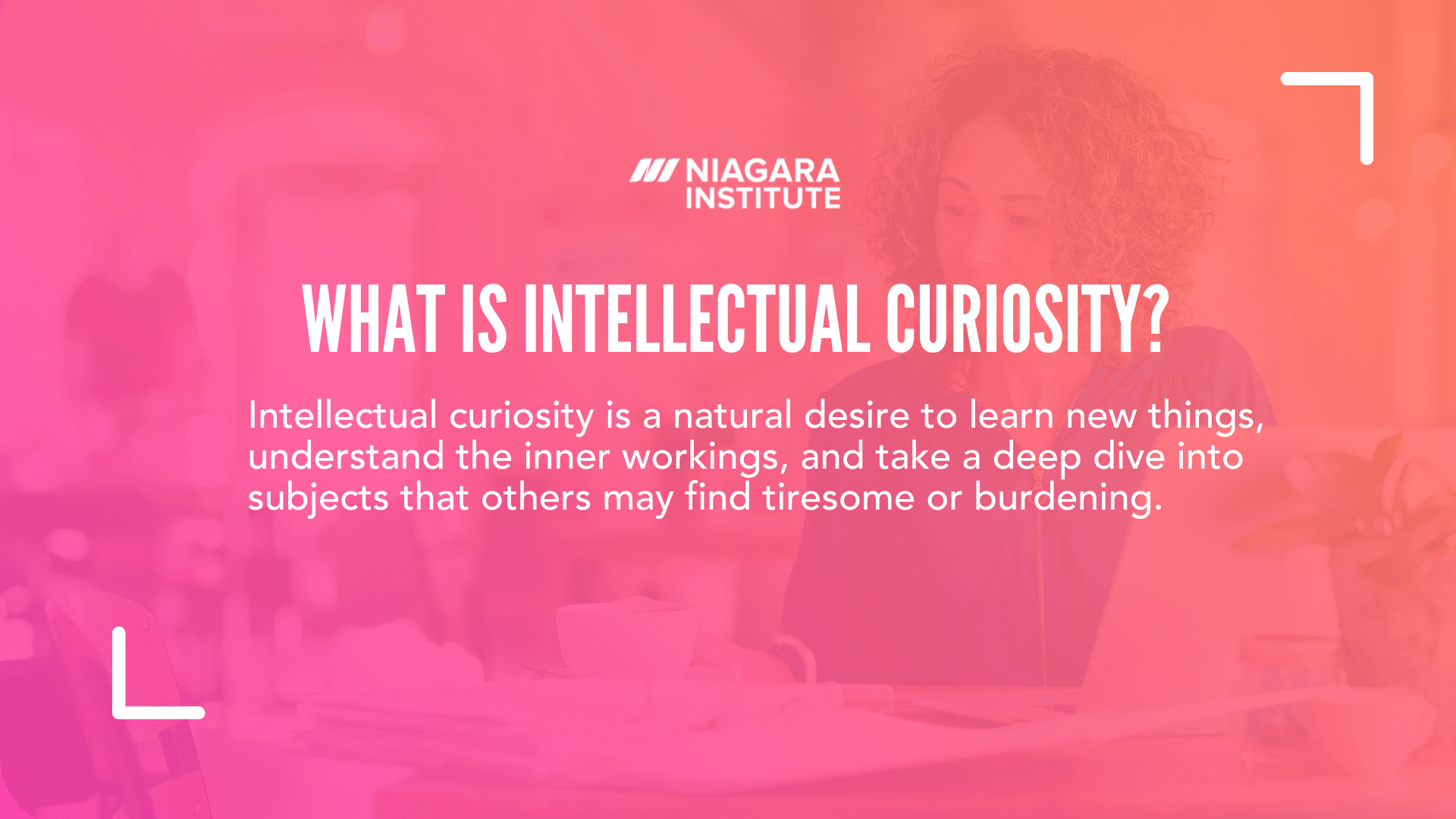 What is Intellectual Curiosity  - Niagara Institute