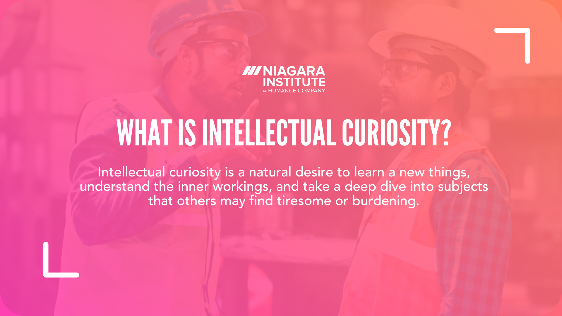 What is intellectual curiosity