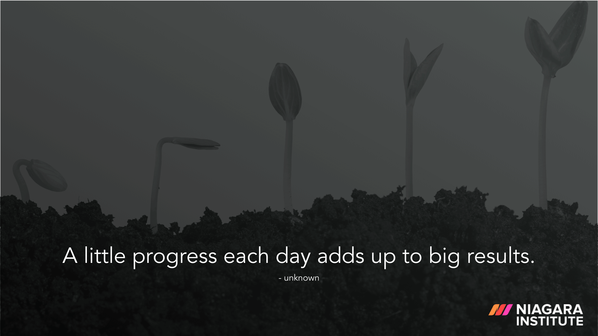 A little progress each day adds up to big results. - Unknown