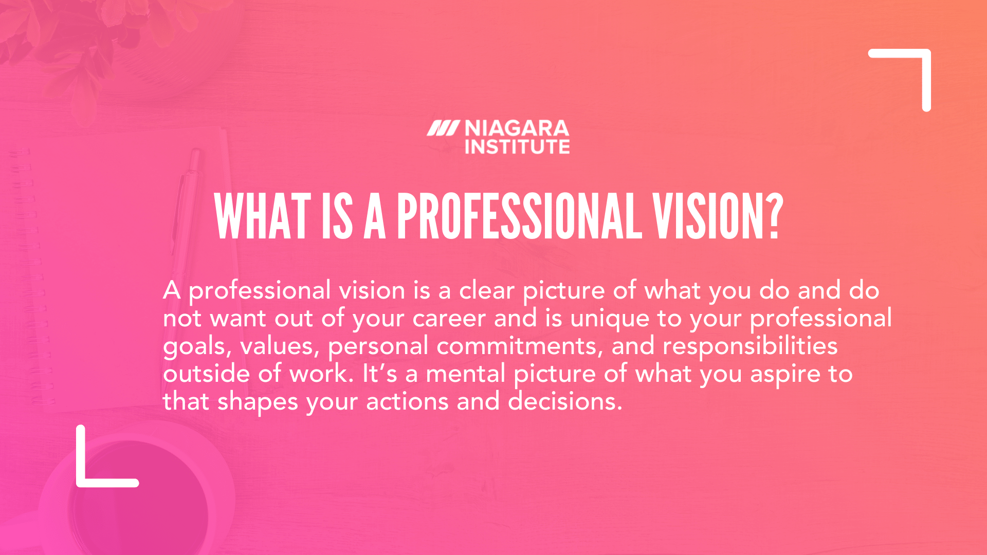 What is a professional vision?
